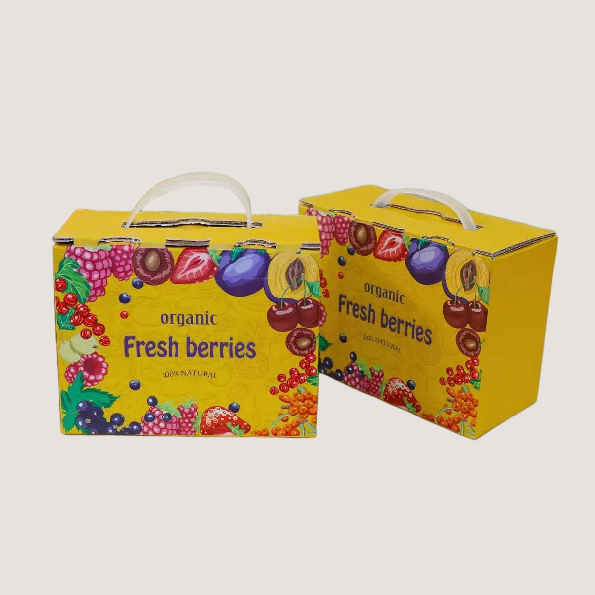 Organic Fruit Gift Box with Carry Handle - Image 2